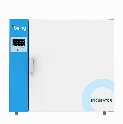 Термостат, до +80 °С, 146 л, камера из нержавеющей стали, LCD контроллер, принудительная вентиляция, Being, Китай