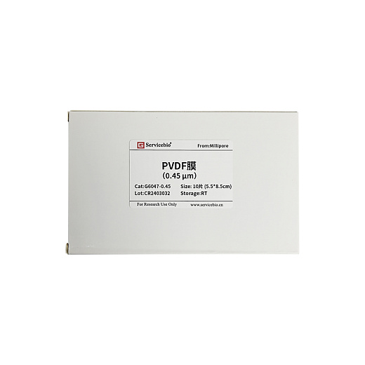 Мембраны ПВДФ, 0,45 мкм, 55×85 мм, 10 шт./уп Фото 1