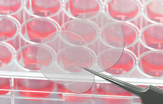 Покровные стекла для планшетов культуральных (крупный план), Sarstedt