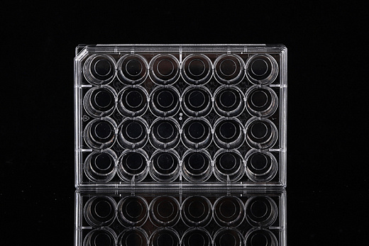 Планшеты культуральные 24 лун, со стеклянной вставкой 10 мм, 10 шт/уп, NEST, Китай