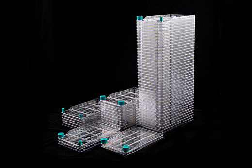 Клеточные фабрики, Nest, Китай