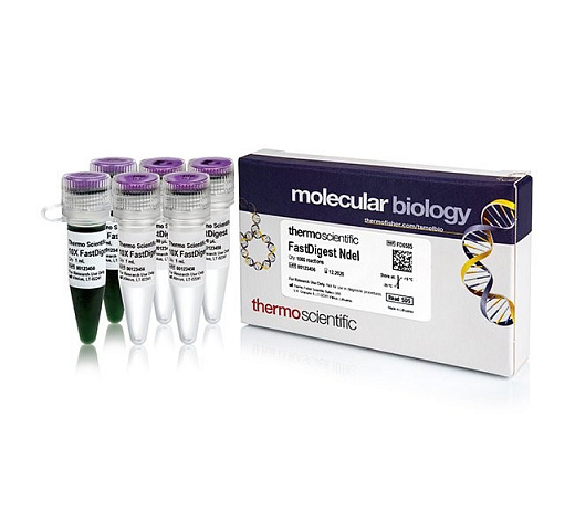 Эндонуклеаза рестрикции NdeI Fast Digest