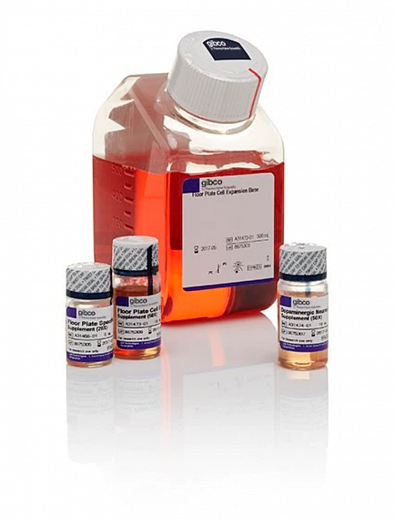 Набор PSC Dopaminergic Neuron Differentiation Kit, Thermo FS