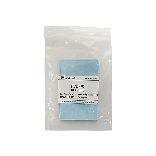 Мембраны ПВДФ, 0,45 мкм, 55×85 мм, 10 шт./уп Фото 2
