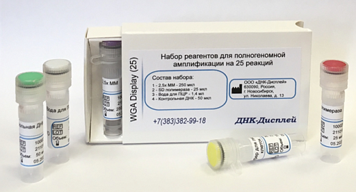 Набор реагентов для полногеномной амплификации ДНК, выделенной из единичных клеток (с буфером) SC WGA Display