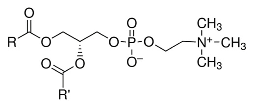 Лицитин соевый
