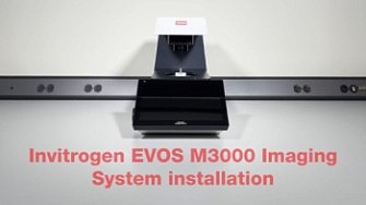 Инструкция по установке системы визуализации Evos M3000, Thermo FS, англ., 2025 г.