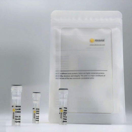 Антитела Anti-Mouse IgG (H+L) козьи, поликлональные, конъюгированные с Cy3