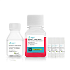 Набор для дифференцировки и ПСК в моторные нейроны hPSC-Motor Neuron Differentiation Kit, Nuwacell, (Китай)