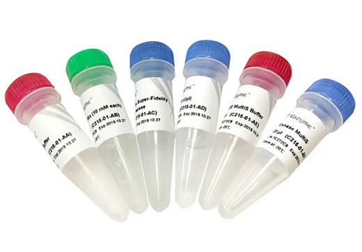 Набор для быстрого мутагенеза Mut Express MultiS V2, Vazyme, Китай