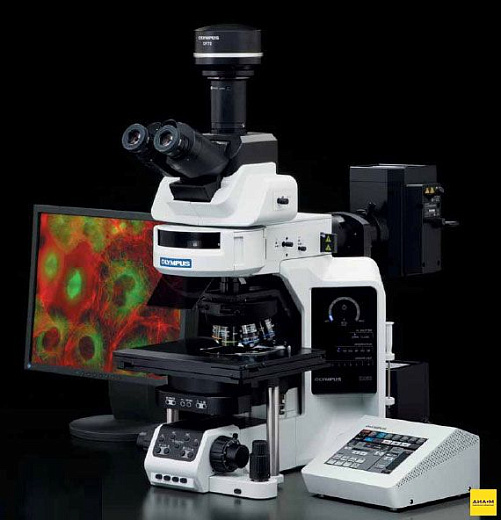 Микроскоп BX-63, прямой, СП, ТП, ФК, ДИК, флуоресценция, простая поляризация, 10х/22 мм, 10х/26 мм, Olympus