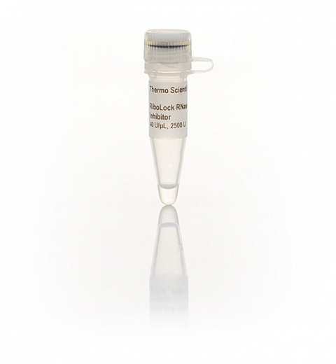 Ингибитор РНКаз Ribolock, 40 ед/мкл