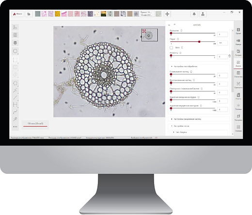 Анализ изображения для биологии