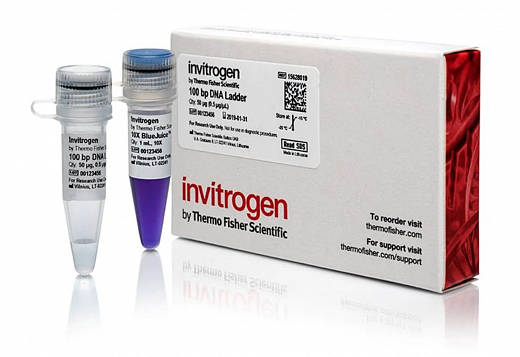 Маркер длин ДНК, 100 bp, 13 фрагментов от 100 до 1000 п.н., 0,1 мкг/мл