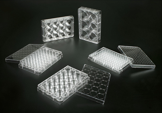 Планшеты культуральные 6 – 96-лун., поверхность CellATTACH, плоскодонные, прозрачные, стерильные, Jet Biofil, Китай