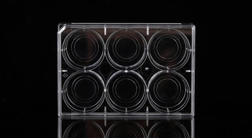 Планшеты культуральные 6-луноч. со стеклянным дном, диаметр 20 мм, поверхность ТС, прозрачные, стерильные