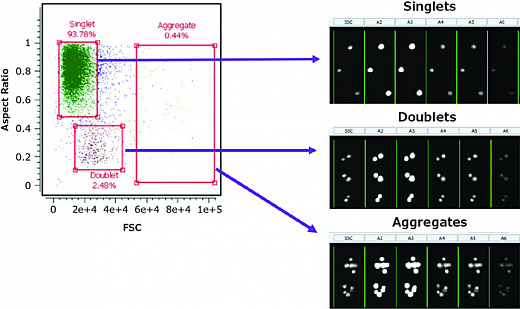 Проточный цитофлуориметр, до 7 лазеров, до 20 флуоресцентных параметров, с визуализацией, Amnis CellStream Фото 4