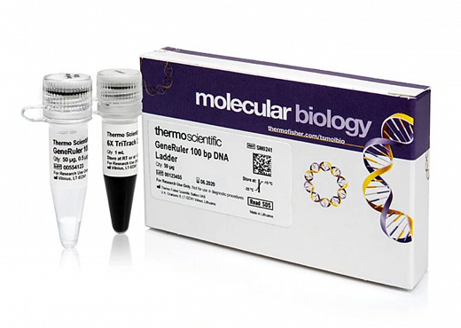 Маркер длин ДНК GeneRuler 100 bp, 10 фрагментов от 100 до 1000 п.н., 0,5 мкг/мкл Фото 2