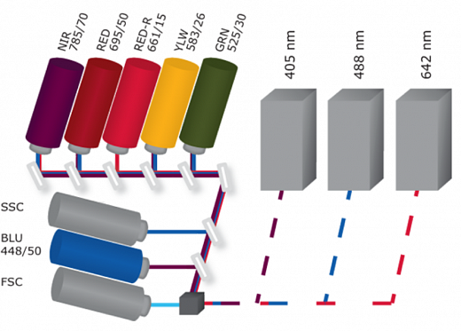 Проточный цитофлуориметр, до 3 лазеров, до 12 флуоресцентных параметров, Guava easyCyte Фото 3