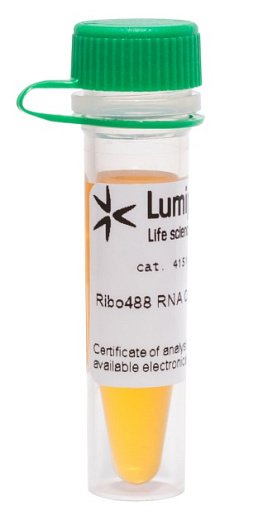 Набор для определения концентрации РНК Ribo488, Lumiprobe, Россия