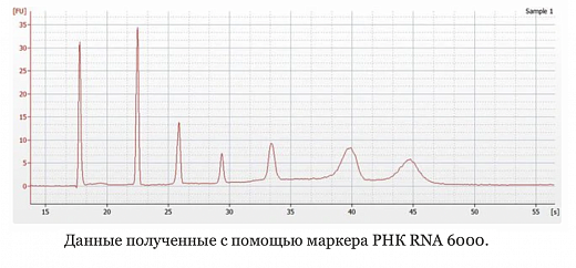 Маркер РНК, RNA 6000, от 200 п.н. до 6000 п.н., 150 мкг/мл Фото 1