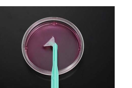 Скребок для клеток, вращающийся, лезвие 20 мм, рукоятка 30 см, стерильный, ПЭ/АБС, инд., упак., 150 шт./кор. Фото 1