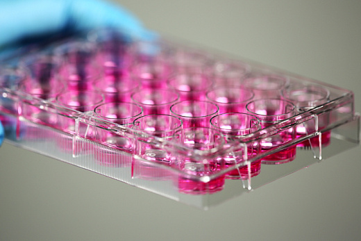 Бортик и наполнение культурального планшета Nest, Китай