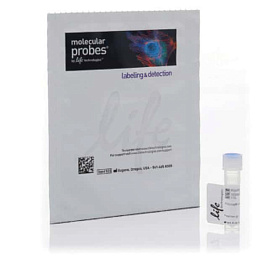 Краситель Alexa Fluor 488 Phalloidin, Thermo FS