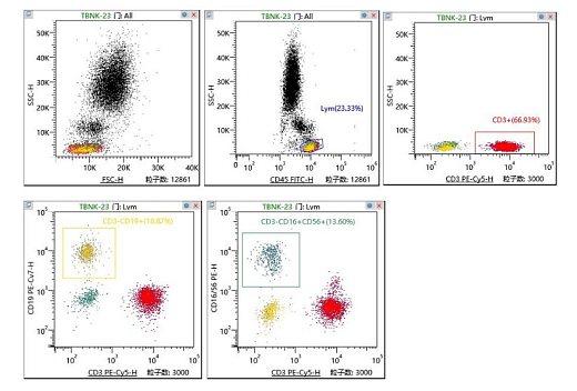Набор для изучения субпопуляций T/B/NK (CD45, CD3, CD16, CD56, CD19 two lasers)