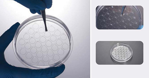 Чашки Петри с покровными пластинами CellSLIP 100 мм, диаметр пластины 10 мм, количество пластин 32 шт., ТС-обработаны, стерильные