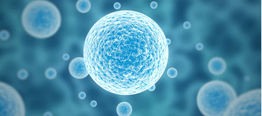 Среда базальная RPMI 1640, феноловый красный, глутамин, без ХЕПЕСА, без бикарбоната натрия, сухая