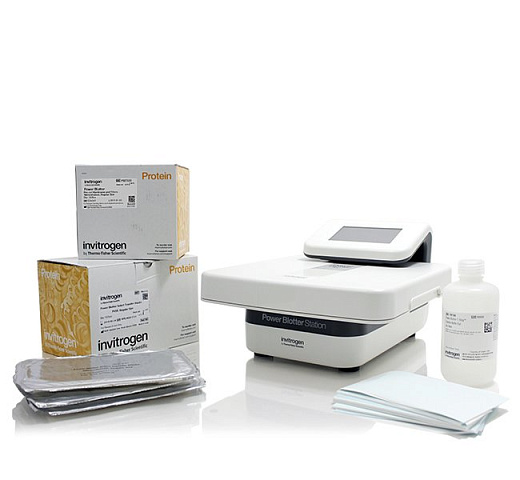 Система полусухого блоттинга Pierce Power Blotter XL со стартовым набором, Thermo FS