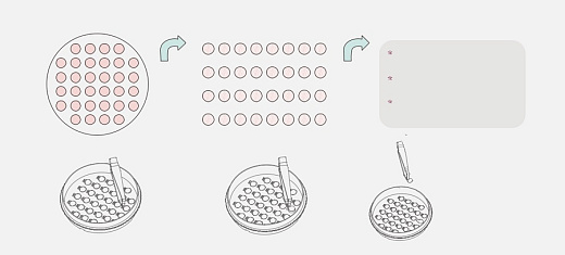 Чашки Петри с покровными пластинами CellSLIP 100 мм, диаметр пластины 10 мм, количество пластин 32 шт., ТС-обработаны, стерильные
